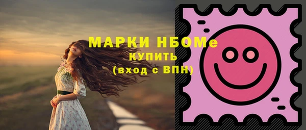 прущий лед Пересвет
