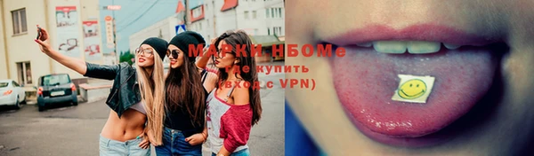 прущий лед Пересвет