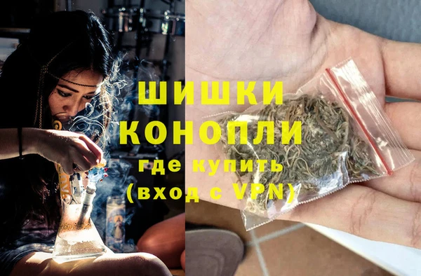прущий лед Пересвет
