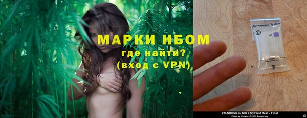 прущий лед Пересвет
