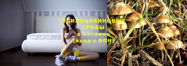 прущий лед Пересвет
